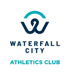 Waterfall City
